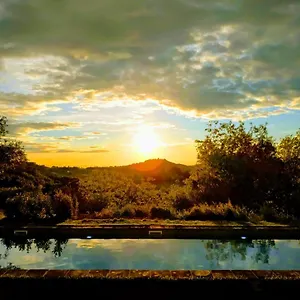 https://poderi-in-chianti.it-tuscanyhotel.com